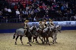 Quadrille - 00855